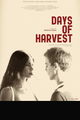 days of harvest / I giorni della vendemmia picture