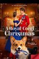 A Royal Corgis Christmas picture