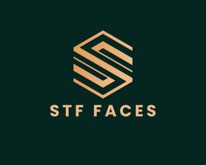 STF FACES picture