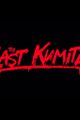 The Last Kumite picture