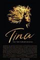 Tina- Das Tina Turner Musical picture
