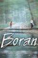 Boran picture