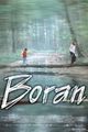 Boran picture