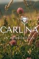 Carlina picture