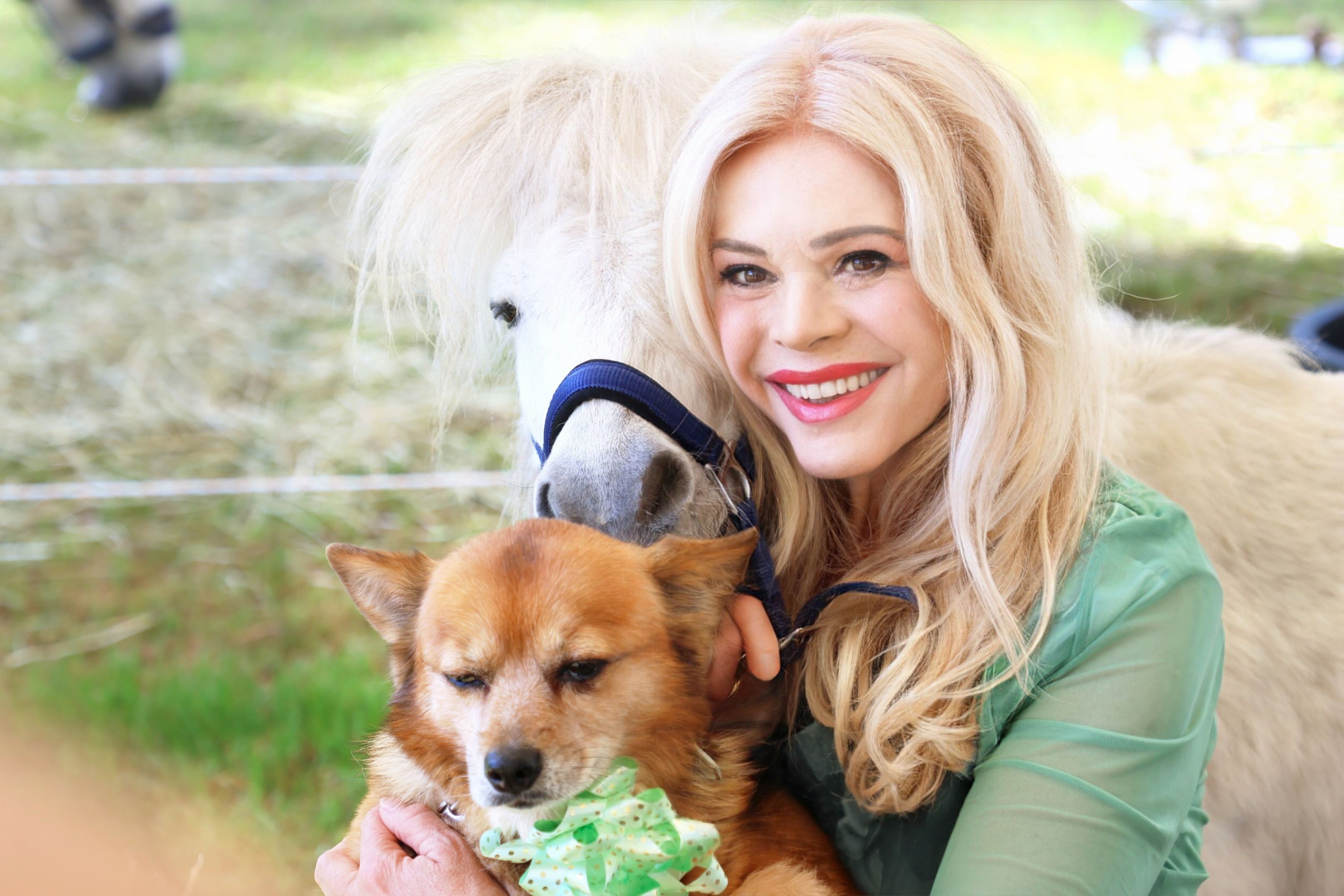 (c) Claudia Porpaczy