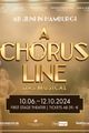 A Chorus Line - Das Musical picture