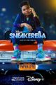 Sneakerella picture