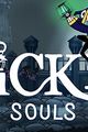 The Wicked Souls (Videospiel) picture