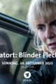 TATORT: BLINDER FLECK picture