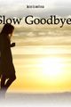 Slow Goodbye picture