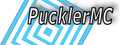 Puckler Media & Consult GmbH picture