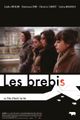 LES BREBIS, picture