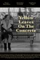Yellow leaves on the concrete picture