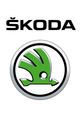 Skoda picture