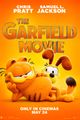 The Garfield Movie picture