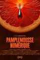 PAMPLEMOUSSE NUMERIQUE picture