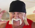 wizerunek Hulk Hogan