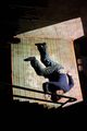 14 Stunden Performance (Akademie August Everding) picture
