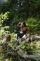 Miriquidor - Lost secrets of the Ore Mountains (360 VR) (aka The Trolls of the Ore Mountains) (AT) picture