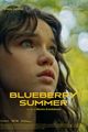 Blueberry summer picture