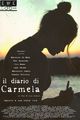 Il Diario di Carmela picture
