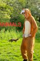 Animals picture