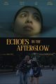 Echoes in the Afterglow picture