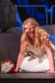 Dracula picture