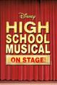 Disney`s High School Musical picture