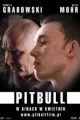 PitBull picture