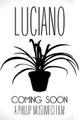Luciano picture