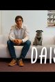 Daisy picture