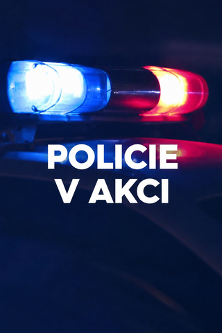 Policie v akci picture