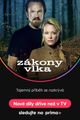 Zákony vlka picture
