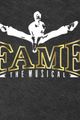 Fame - das Musical picture