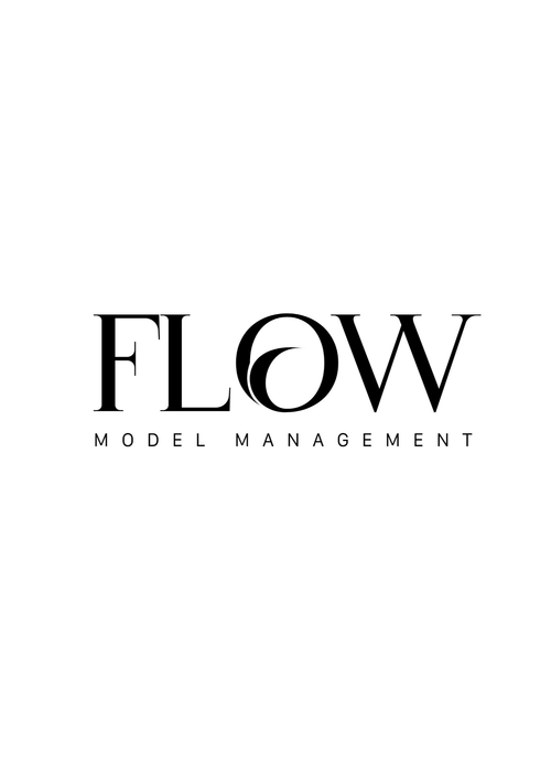 Flow Model Management picture