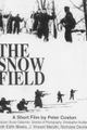 The Snow Field picture