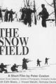 The Snow Field picture