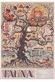 Fauna. Musical nieludzki. picture