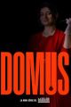 Domus picture