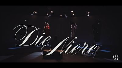 Image for DIE NIERE - Beziehungskomödie von Stefan Vögel (Trailer)