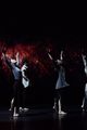 Antigone picture