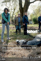 TATORT - Die Sonne stirbt wie ein Tier picture