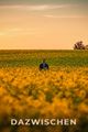 Dazwischen picture
