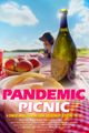 Pandemic Picnic picture