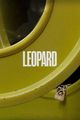 Leopard picture