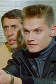Zwei alte Hasen picture