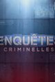 Enquêtes Criminelles - Meurtre chez les gens du voyage picture