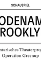 Codename Brooklyn picture