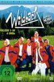 Wildbach picture
